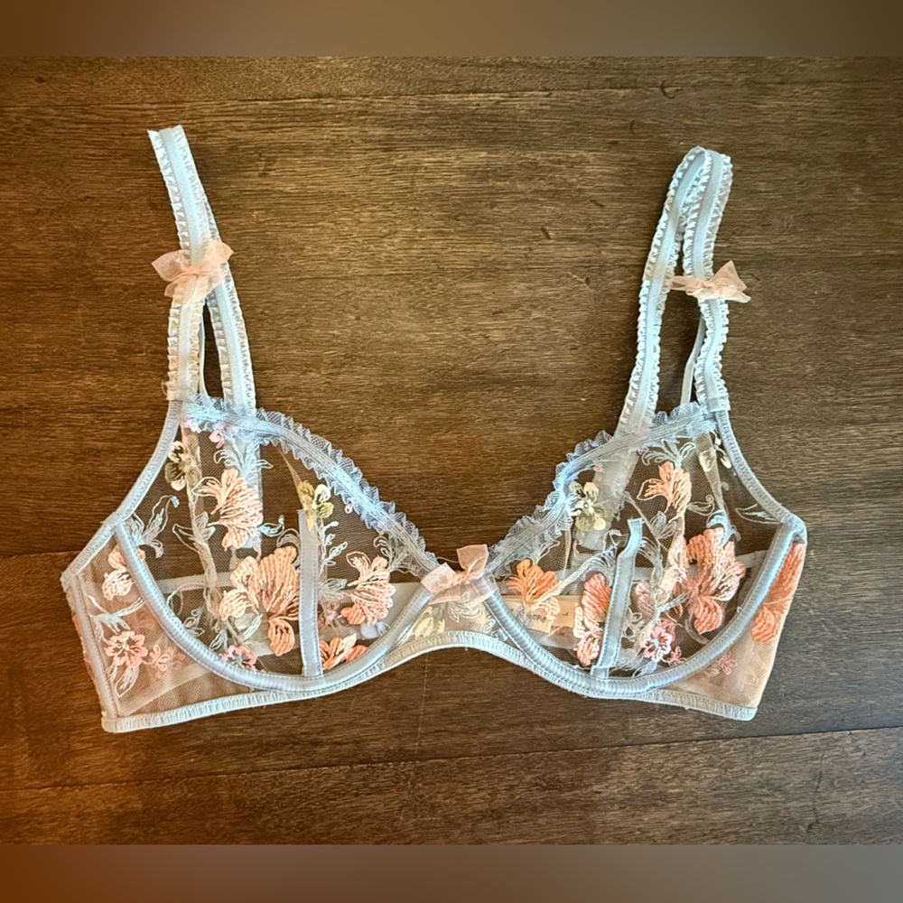 For Love And Lemons X VS Sheer Blue Floral Bra